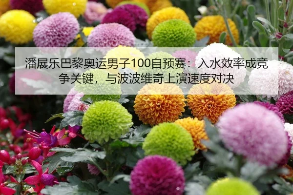 潘展乐巴黎奥运男子100自预赛：入水效率成竞争关键，与波波维奇上演速度对决