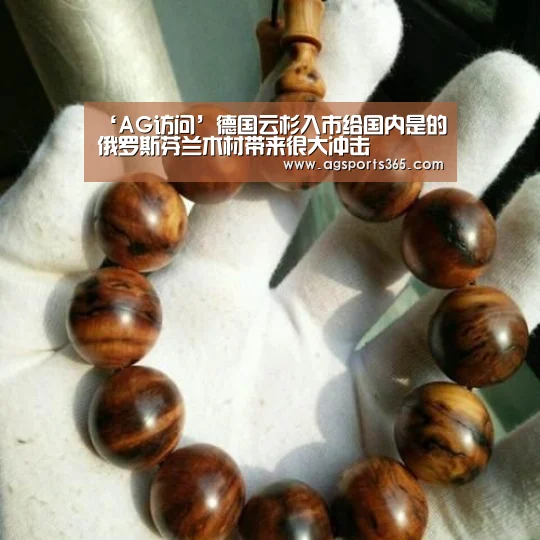 ‘AG访问’德国云杉入市给国内是的俄罗斯芬兰木材带来很大冲击(图3) AG首页