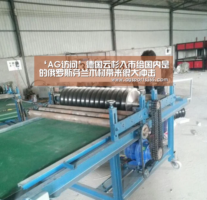 ‘AG访问’德国云杉入市给国内是的俄罗斯芬兰木材带来很大冲击(图4) AG真人
